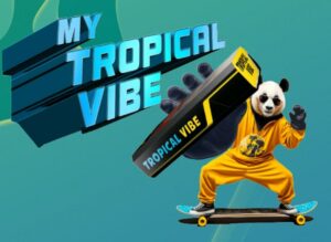 My Tropical Vibe – Play Game & Win FREE ₹50 Free PayTM Cash Instantly